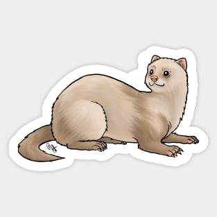 Ferret - Champange Sticker